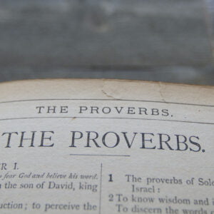 Proverbs 1