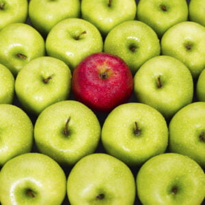 Unique Ministry Philosophies That are Imperative for Success