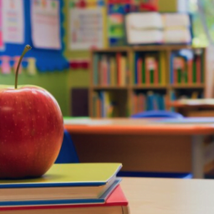 Life Experience - Elementary Teaching