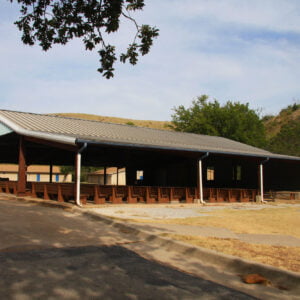 Life Experience - Camp Ministry